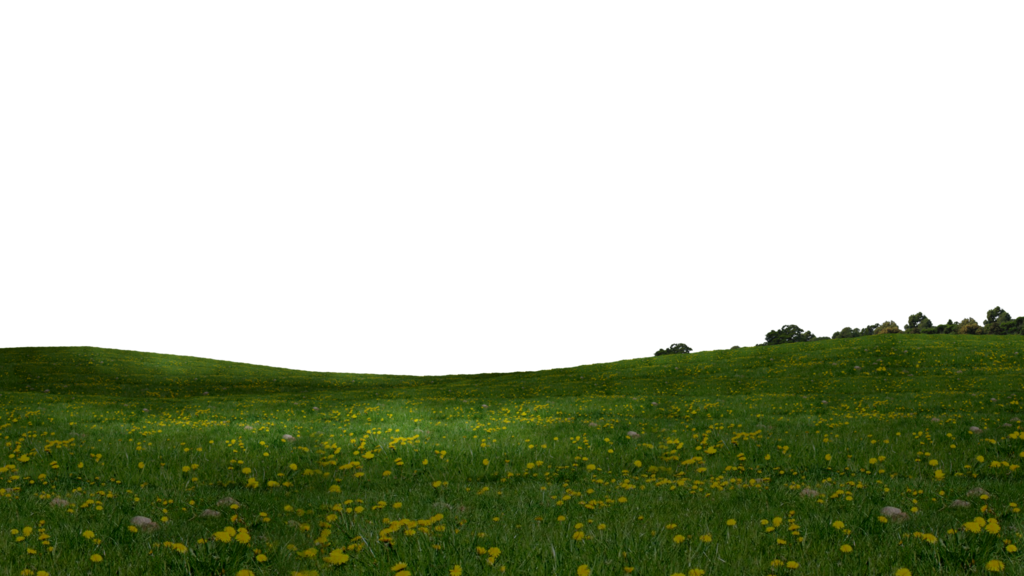 Field PNG Background