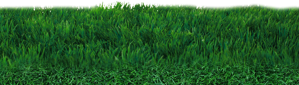 Field PNG Clipart Background