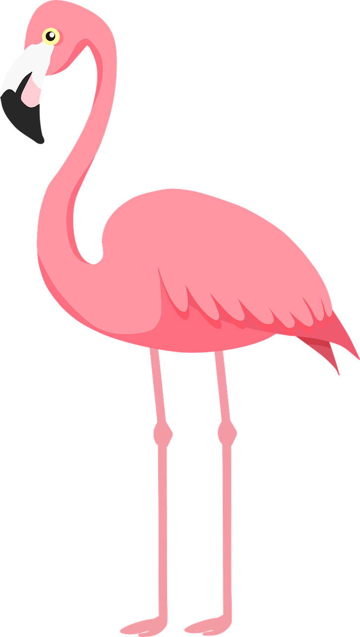 Flamingos Background Image PNG