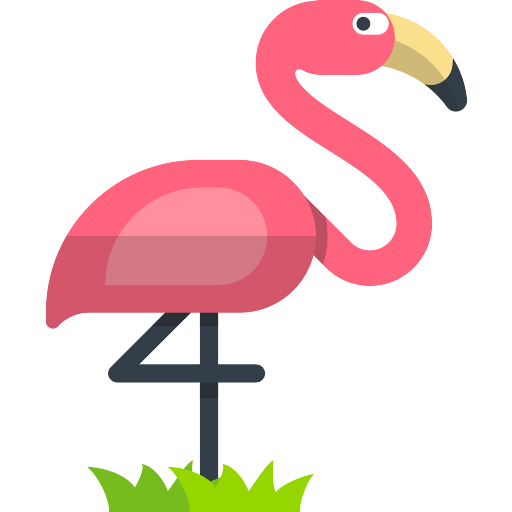 Flamingos Free PNG