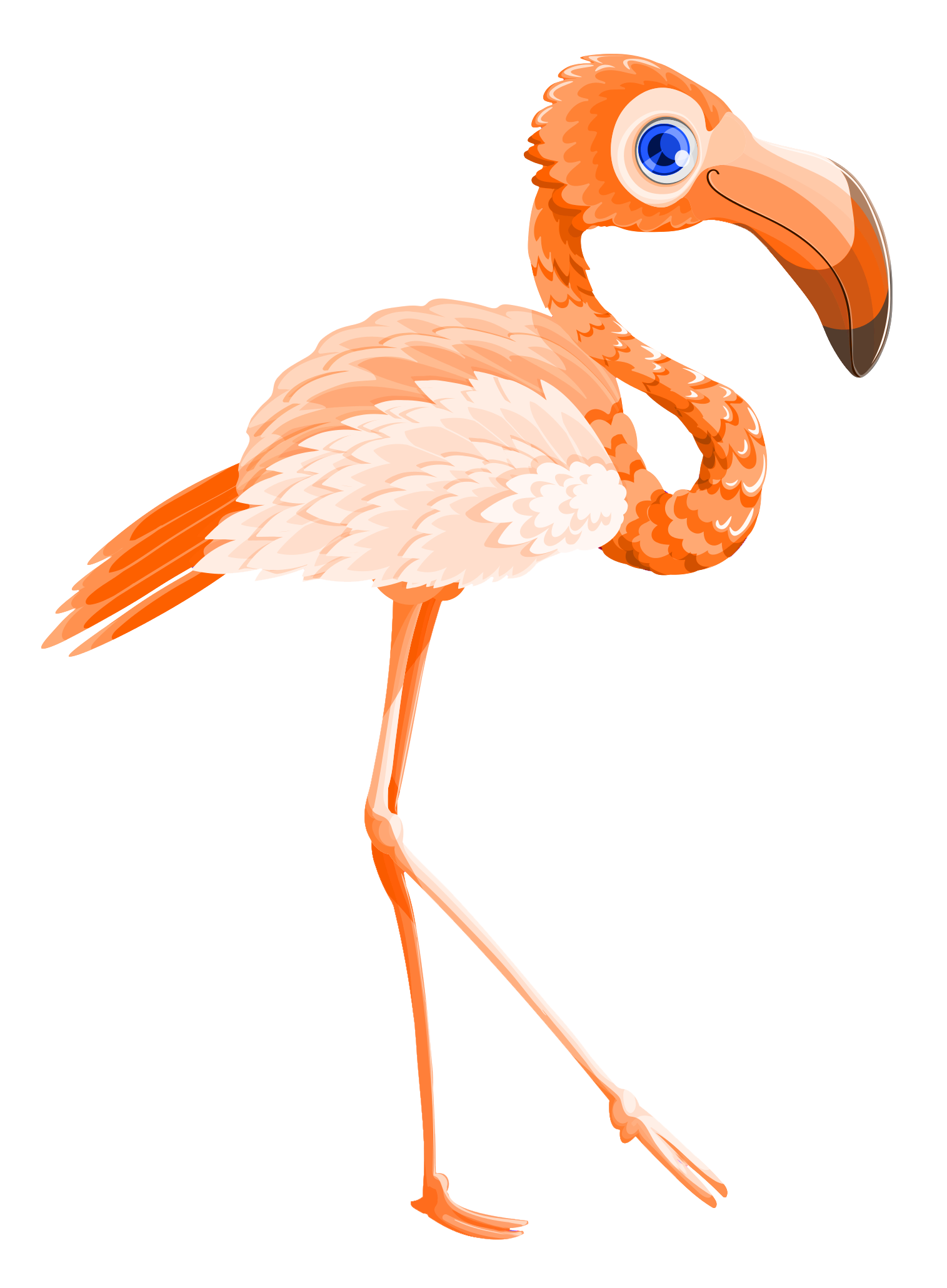 Flamingos Free Picture PNG