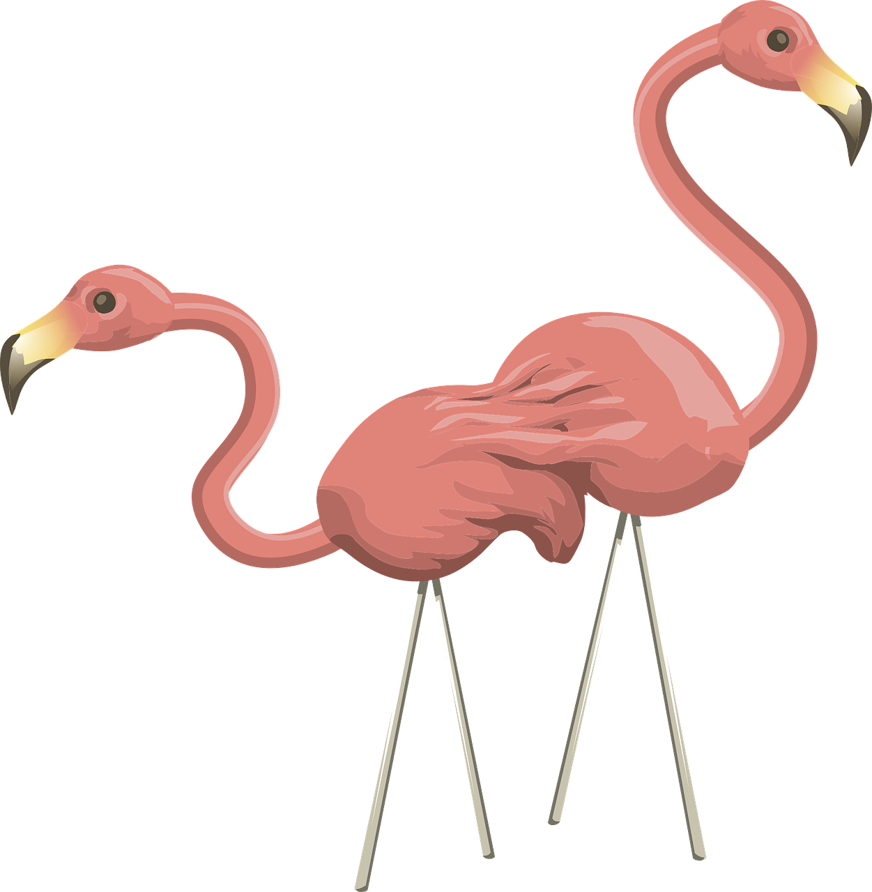 Flamingos Free File Download PNG