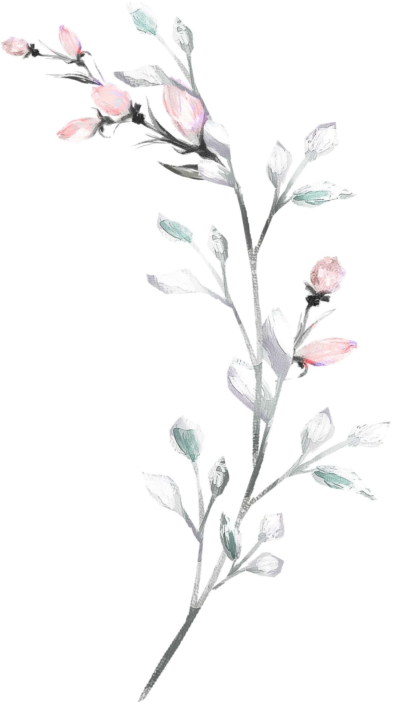 Flower Aesthetic Free PNG