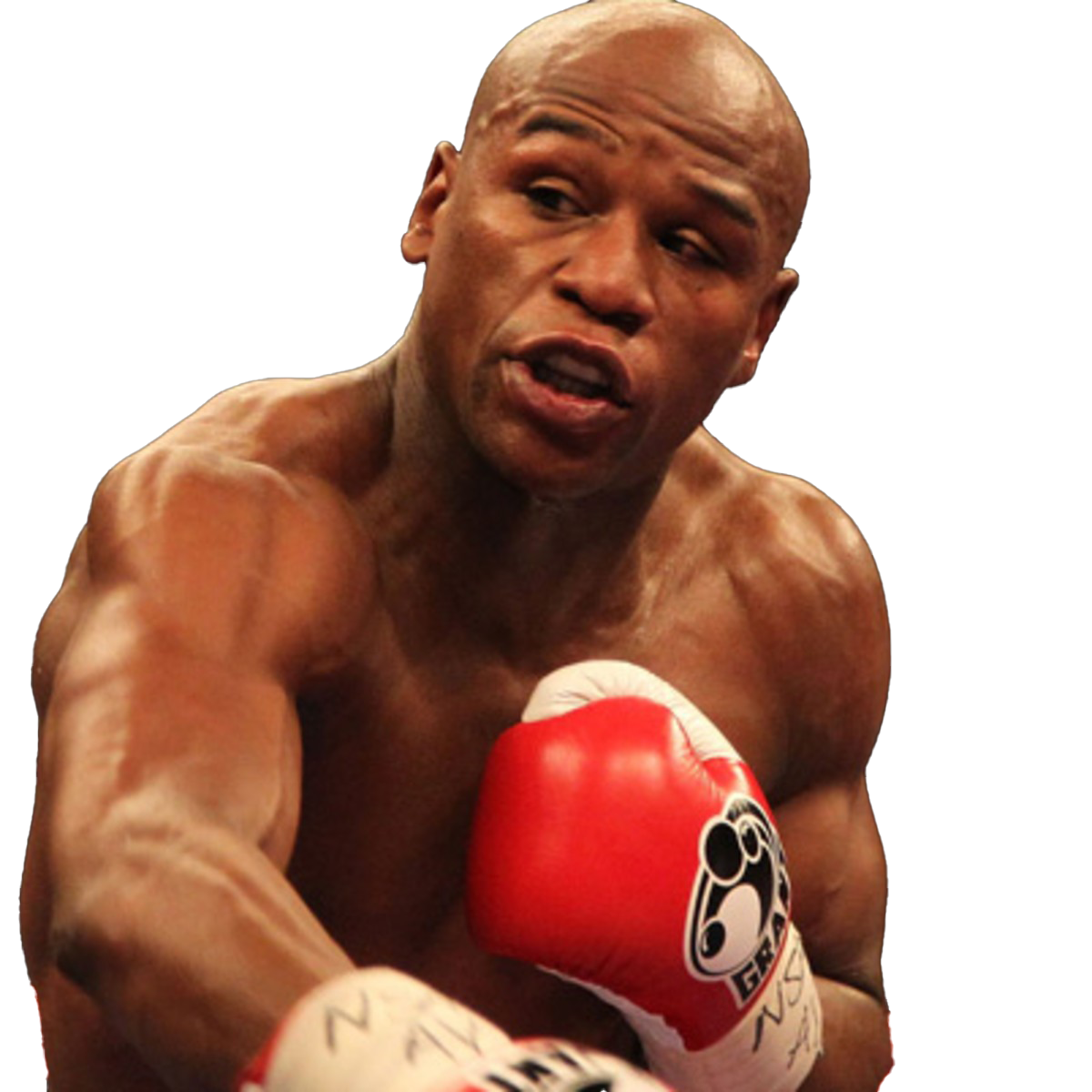 Floyd Mayweather Transparent Free PNG