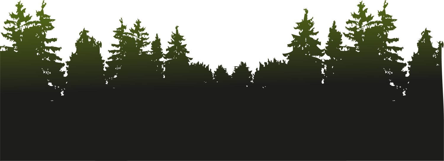 Forest Free PNG