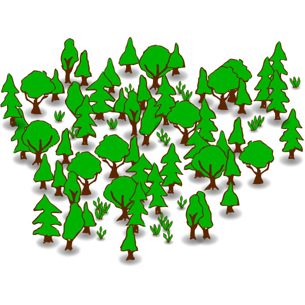 Forest PNG Clipart Background