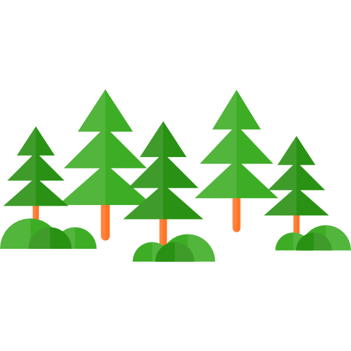 Forest PNG HD Quality