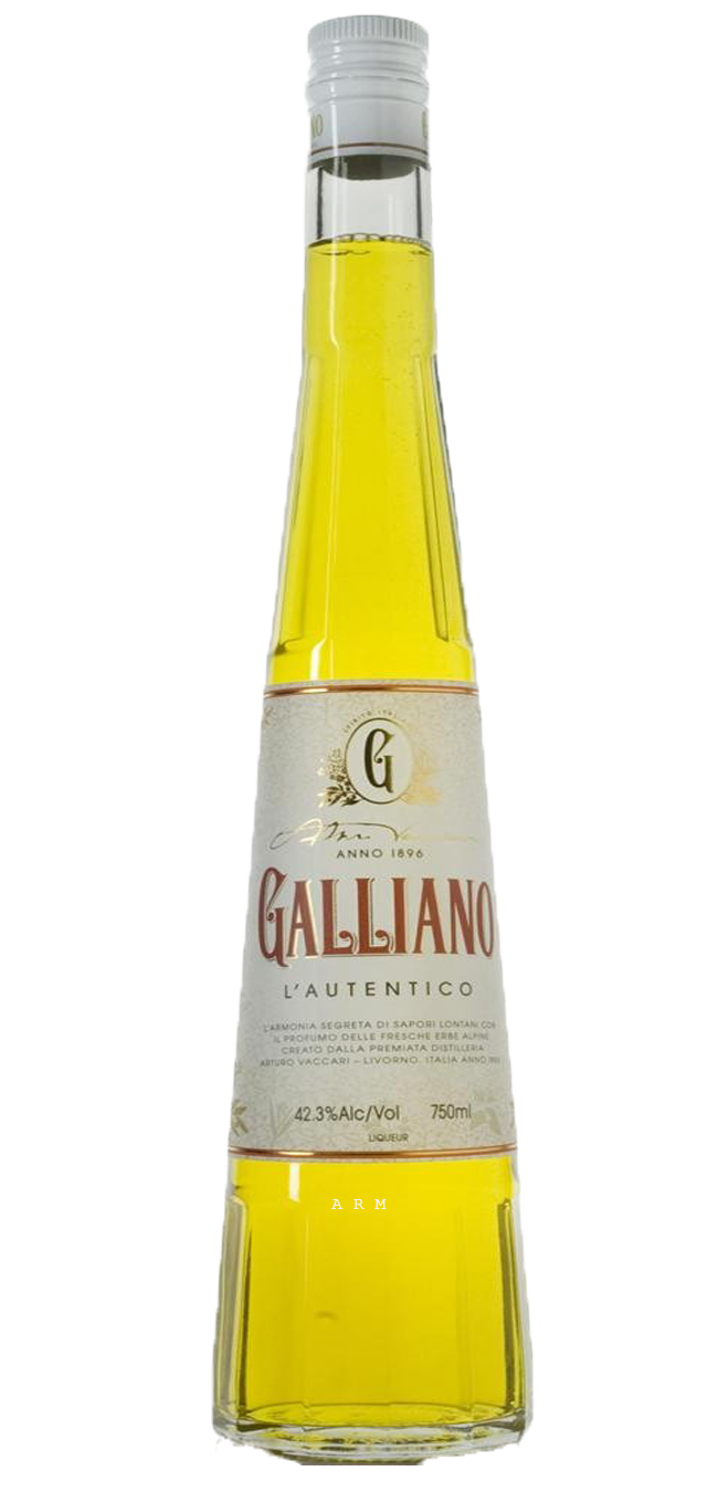 Galliano PNG HD Quality