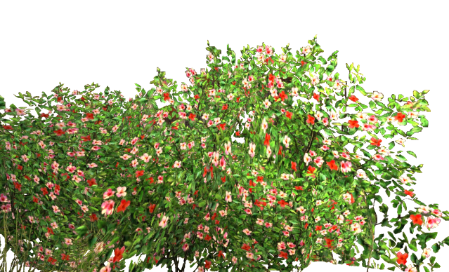 Garden PNG Photo Image