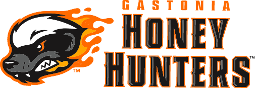 Gastonia Honey Hunters PNG Clipart Background