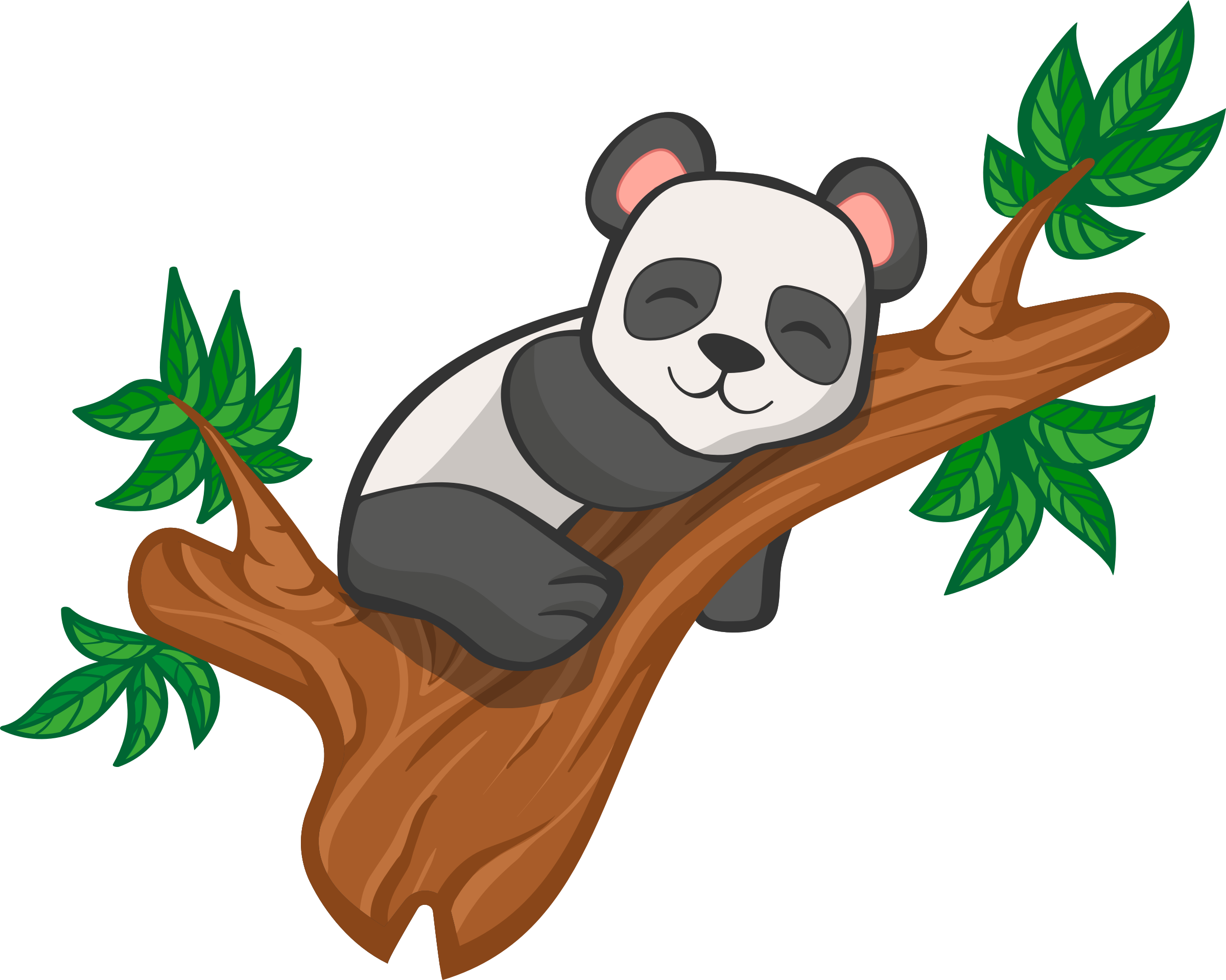 Giant Panda Background PNG Image