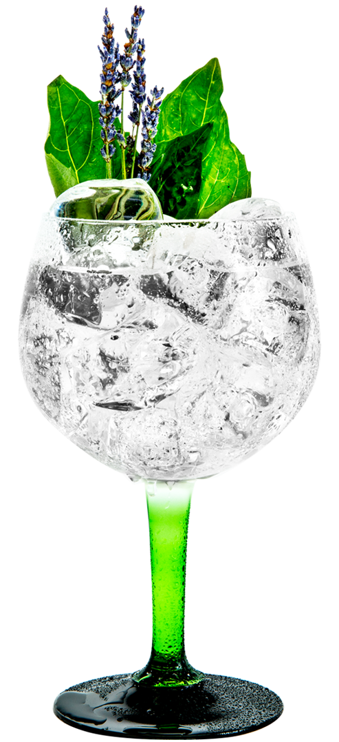 Gin And Tonic Background PNG