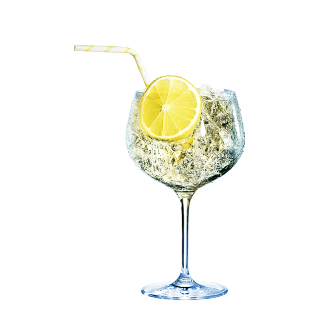 Gin Fizz Download Free PNG