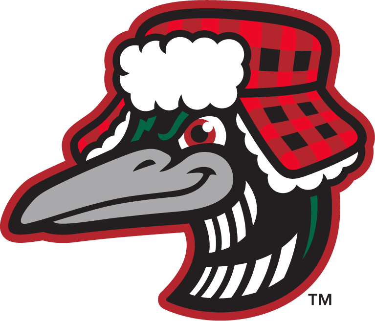 Great Lakes Loons PNG HD Quality