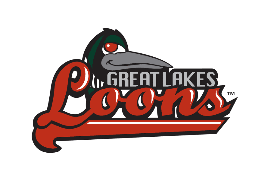 Great Lakes Loons Transparent Background