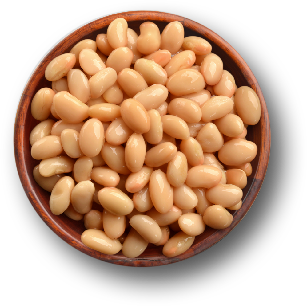 Great Northern Beans Free PNG