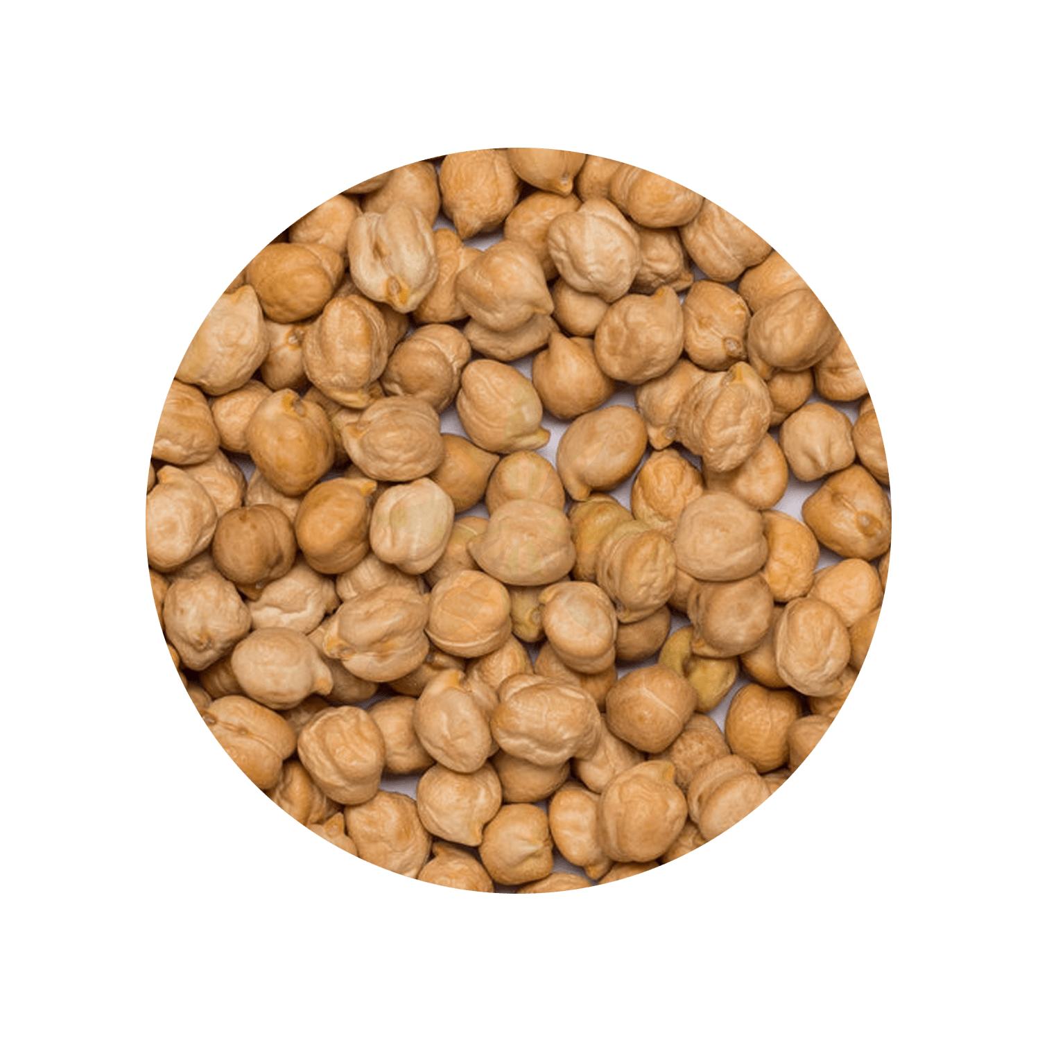 Great Northern Beans Transparent Free PNG