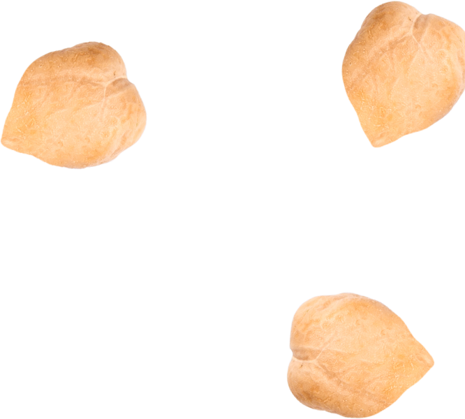 Great Northern Beans Transparent PNG