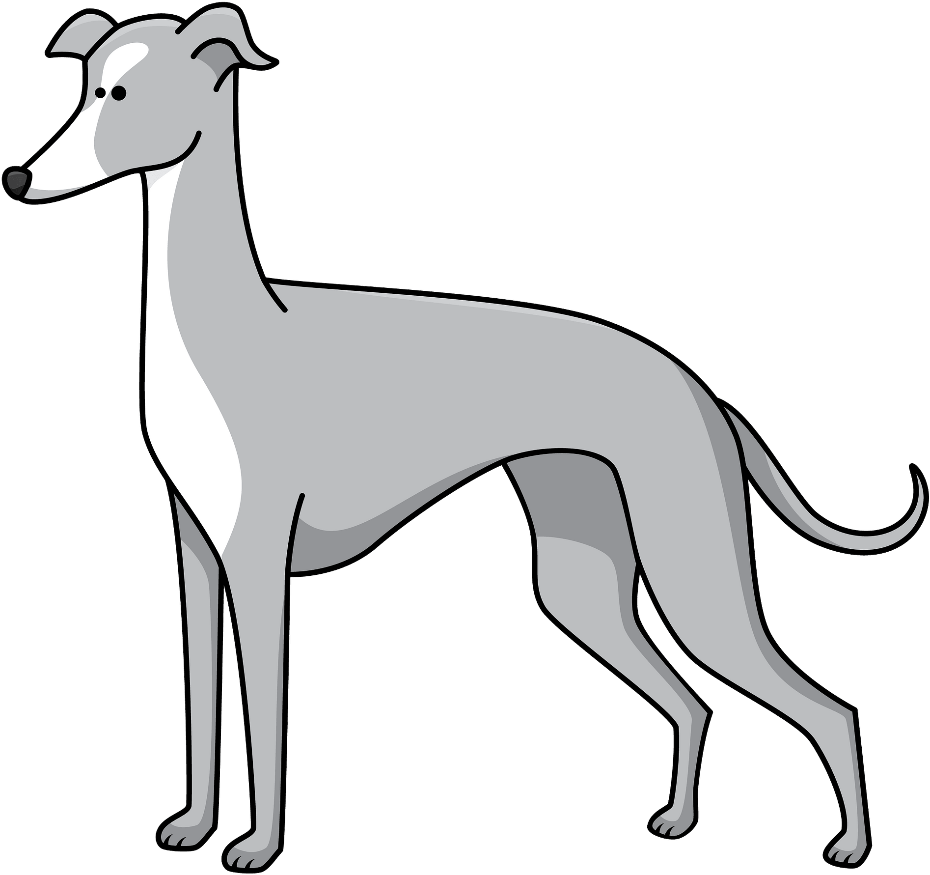 Greyhound PNG Images HD