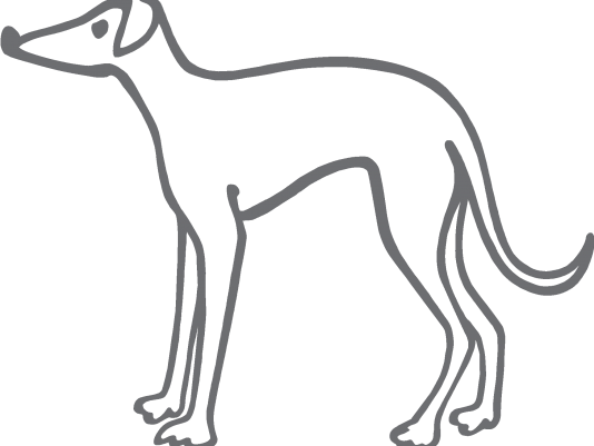 Greyhound Transparent Image