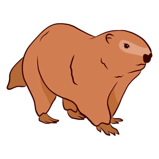 Groundhog PNG Clipart Background