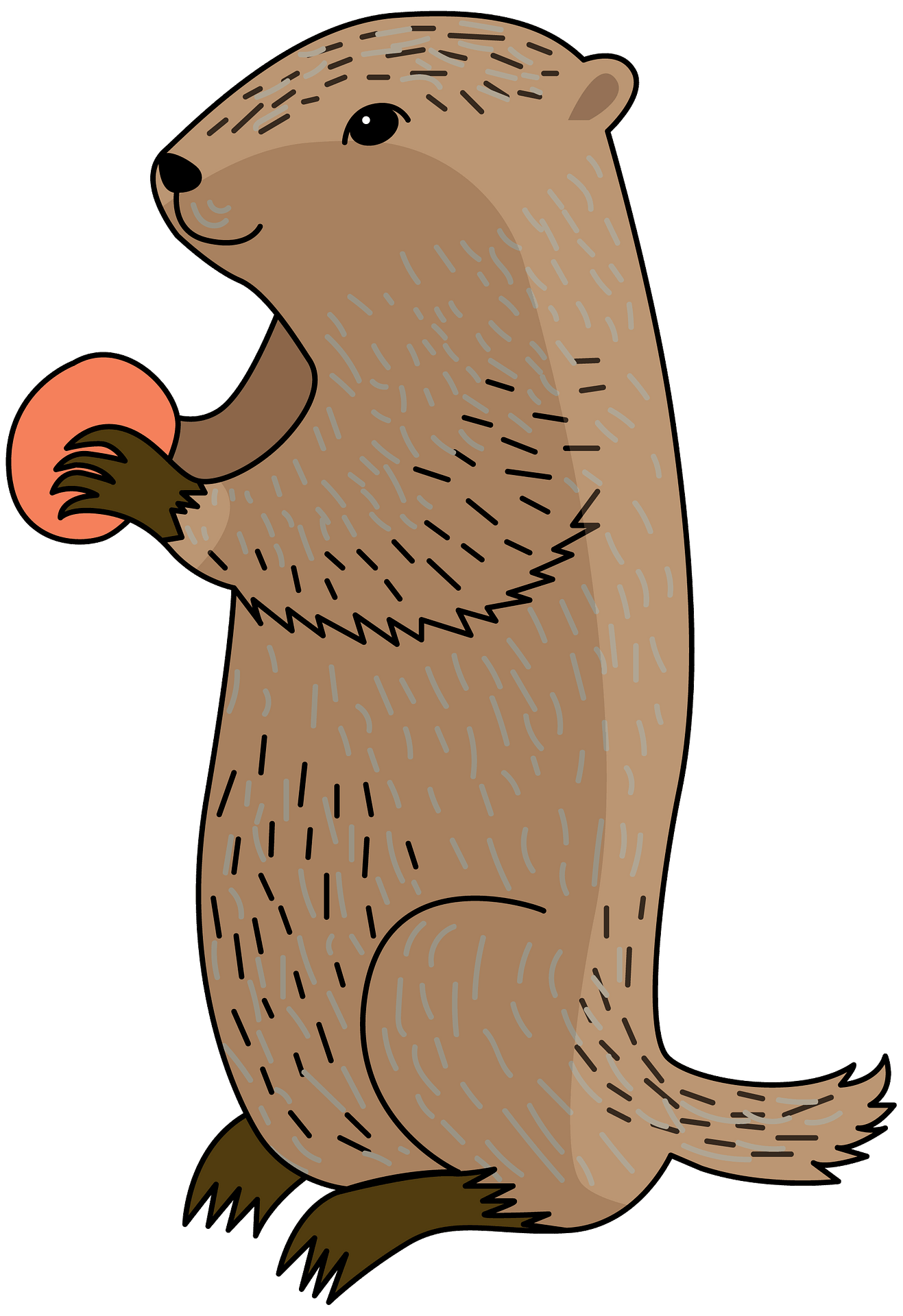 Groundhog PNG Pic Background