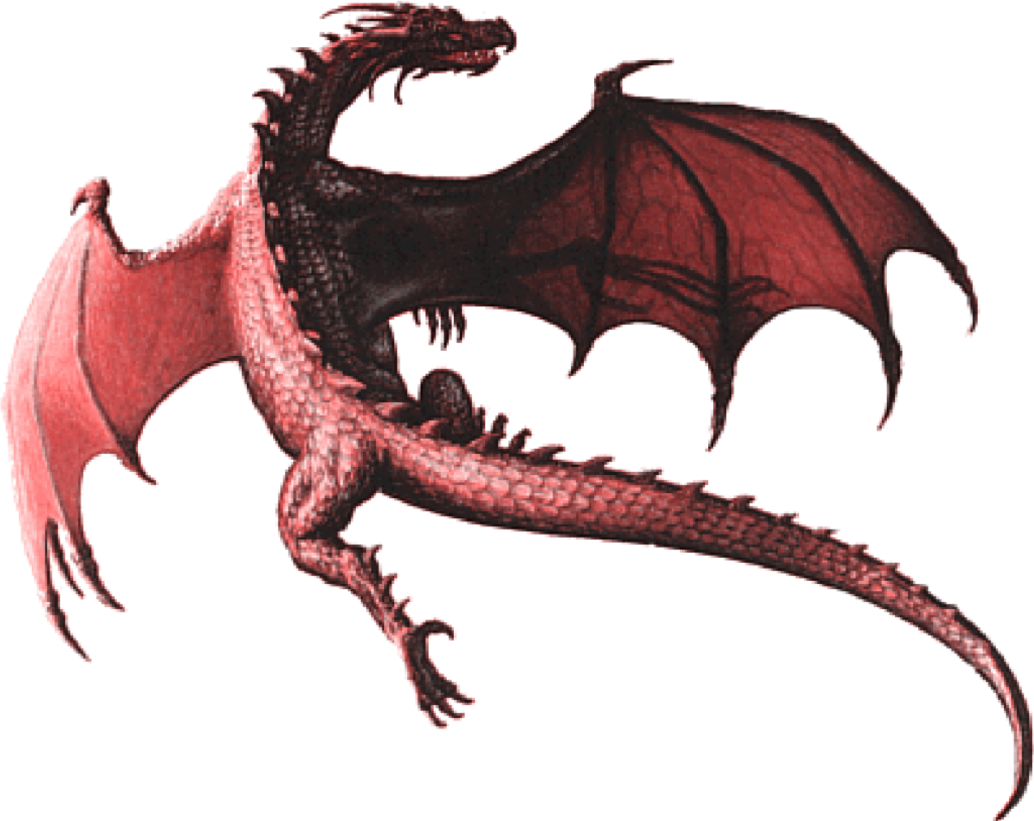 Harry Potter Dragons Dragon Transparent File