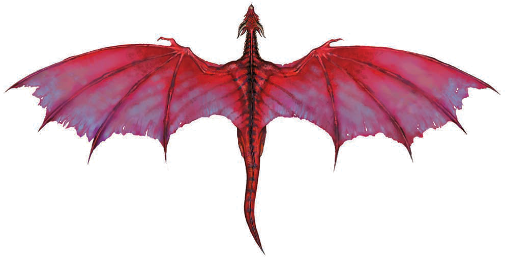 Harry Potter Dragons Dragon Transparent Free PNG
