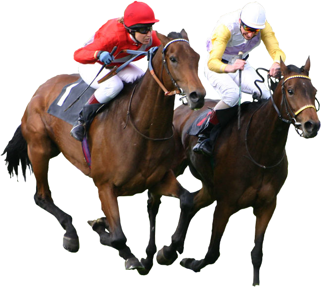 Horse Racing Download Free PNG