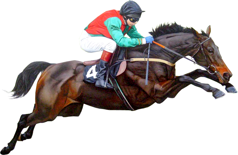 Horse Racing PNG Photo Image