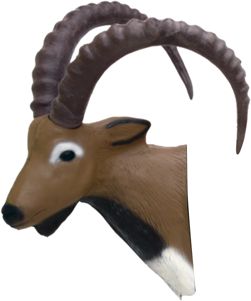 Ibex Background PNG Image