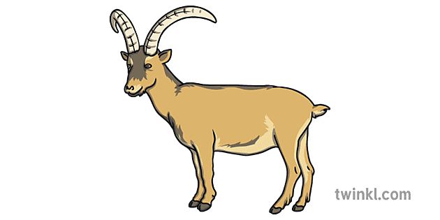 Ibex Download Free PNG