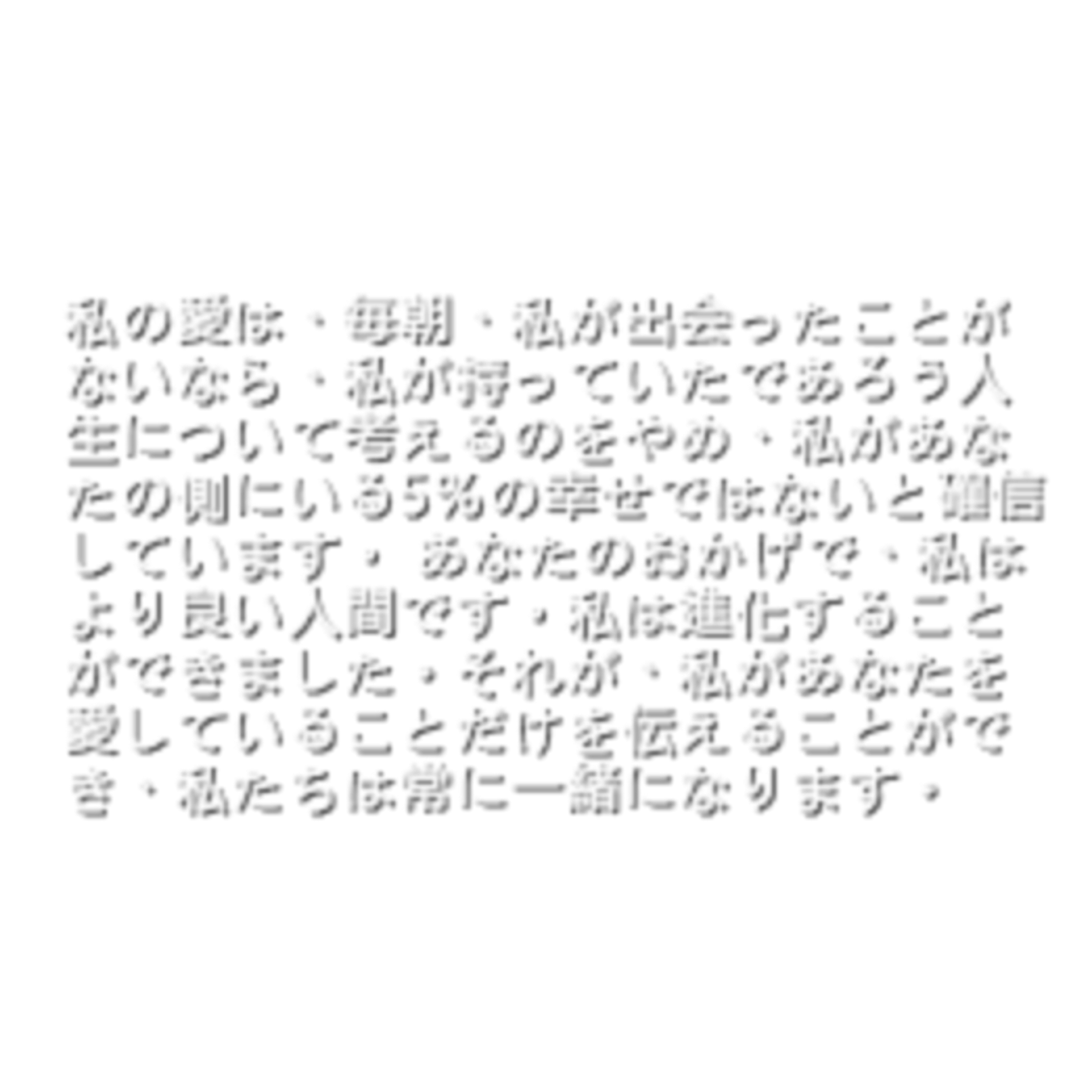Japanese Aesthetic Transparent File