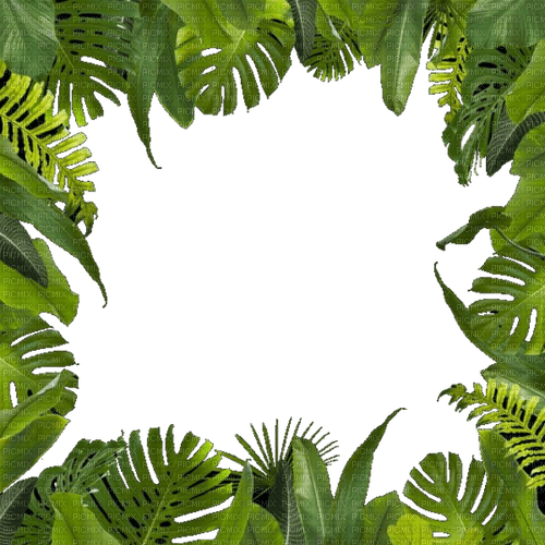 Jungle Background PNG Image