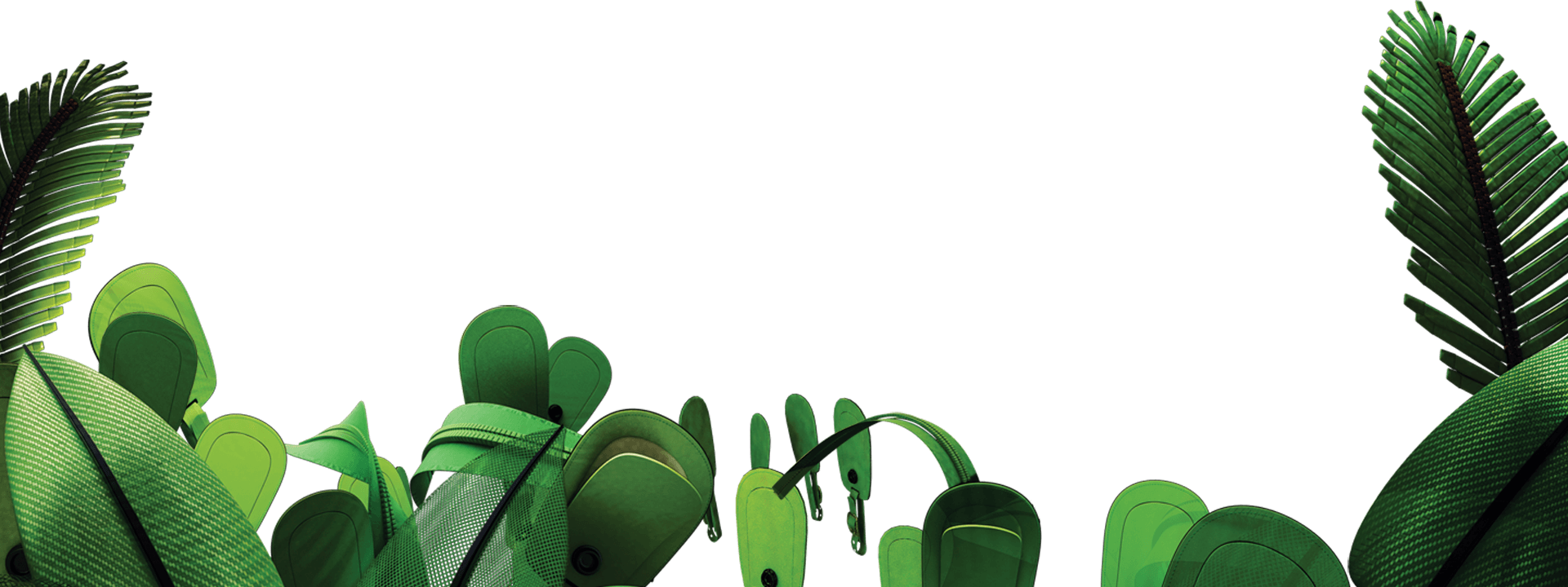 Jungle PNG Background