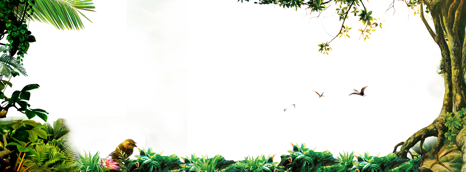Jungle PNG Pic Background