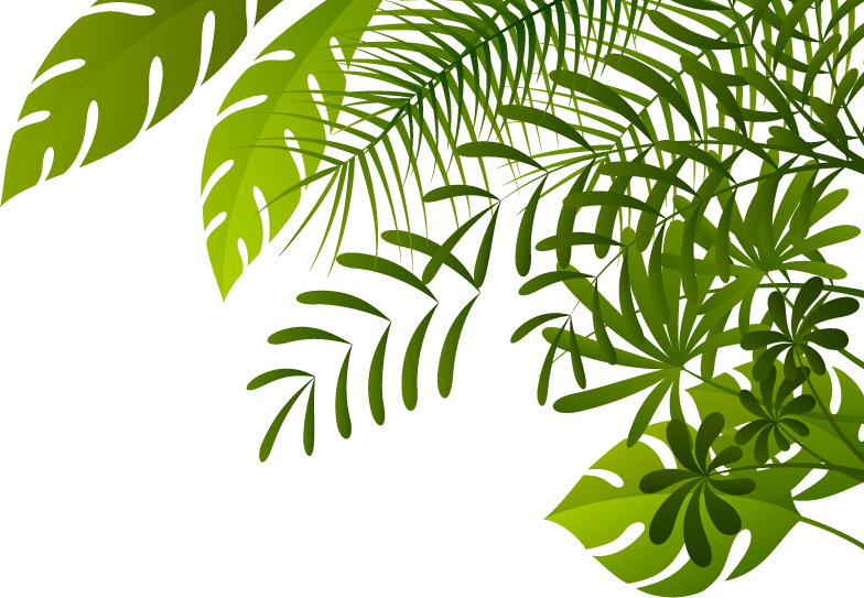 Jungle Transparent Image