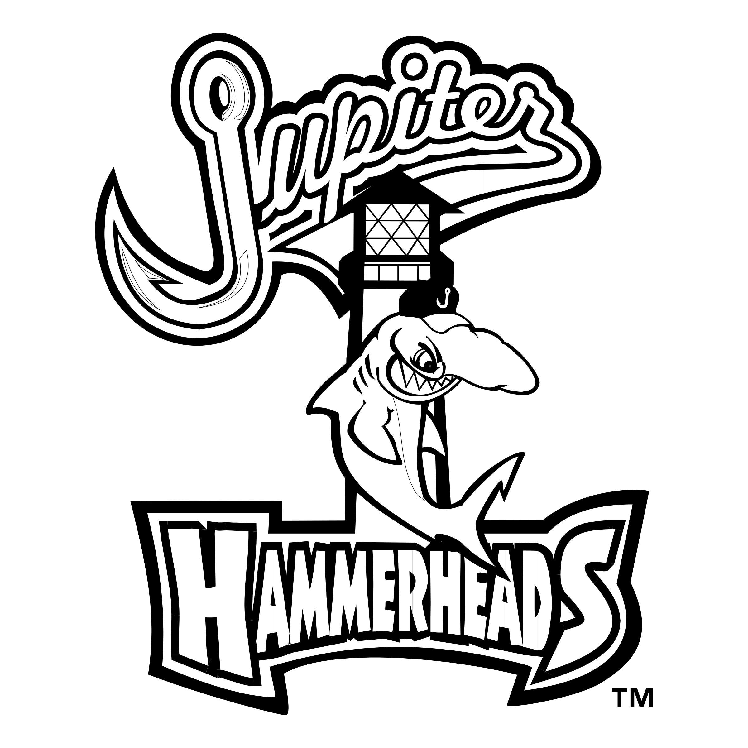 Jupiter Hammerheads PNG Clipart Background