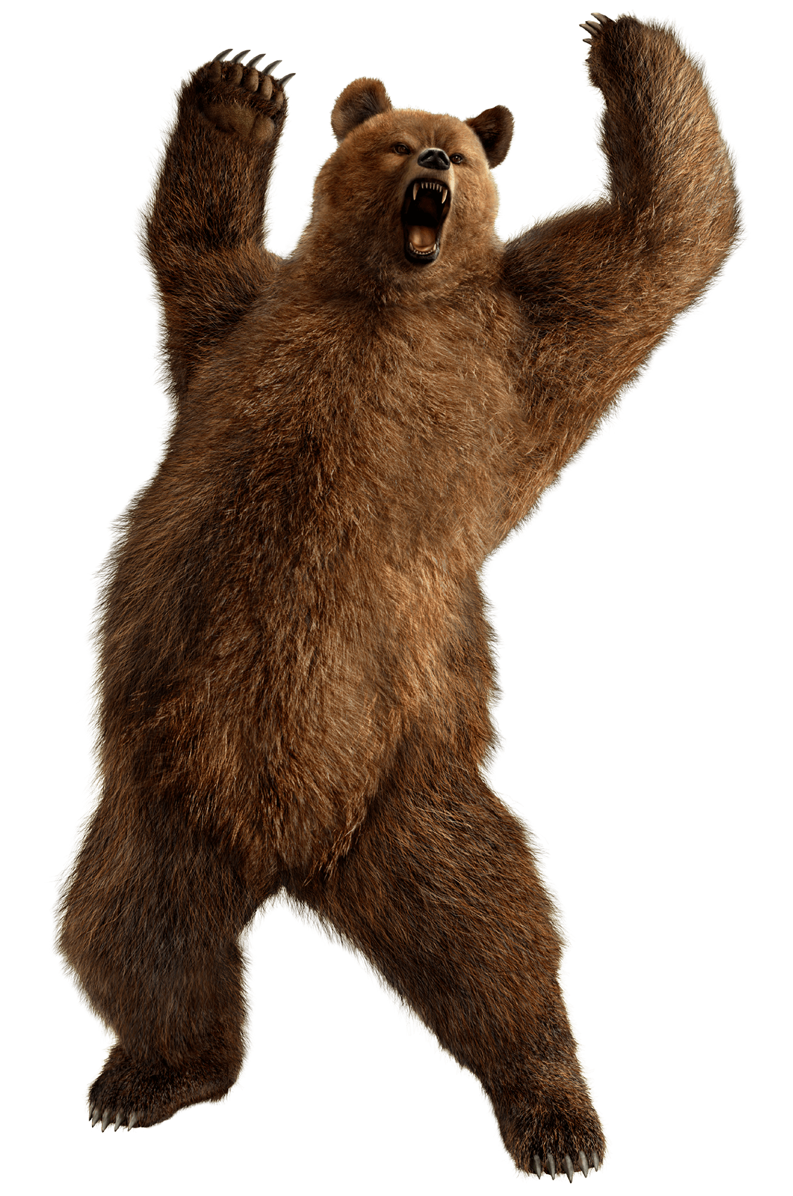 Kodiak Brown Bear Background PNG Image