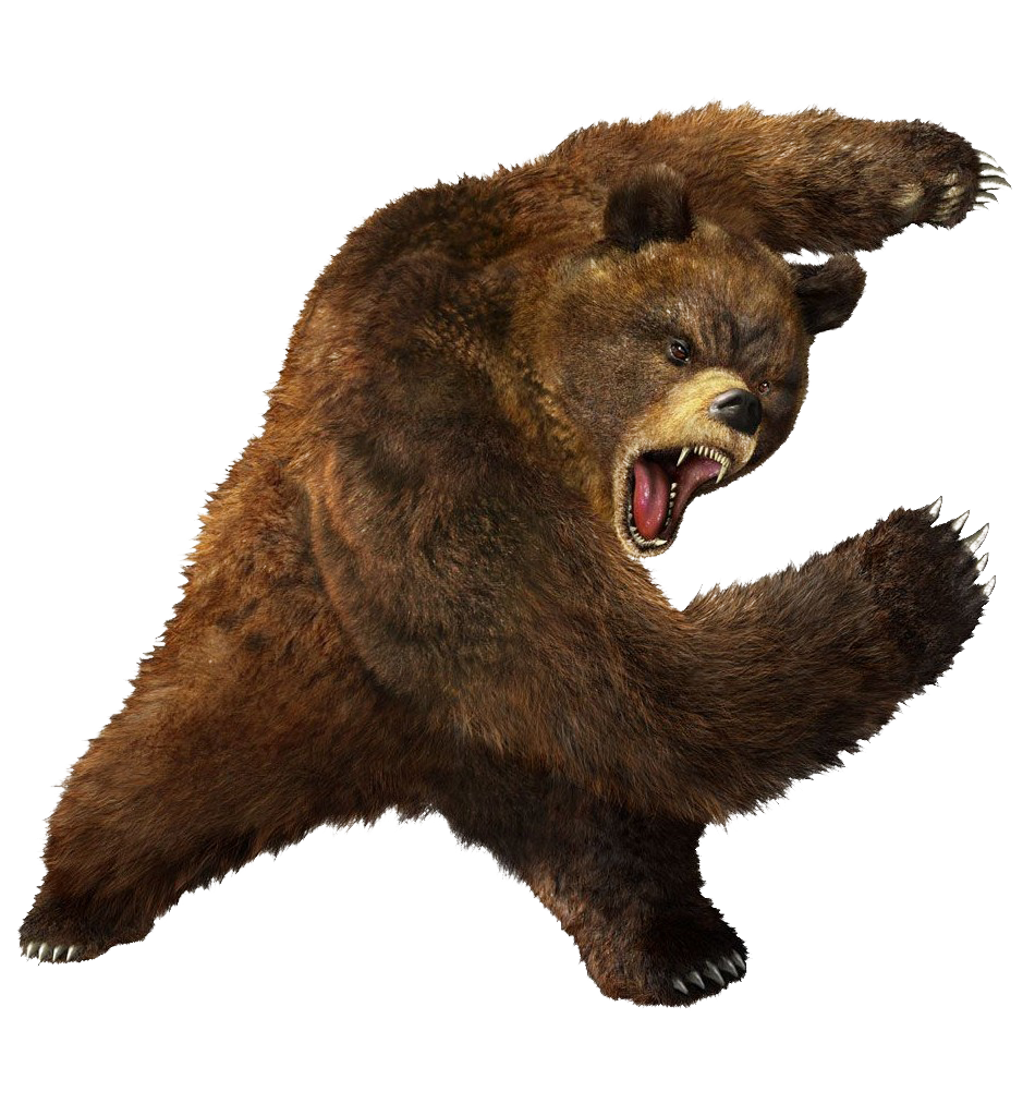 Kodiak Brown Bear PNG Free File Download