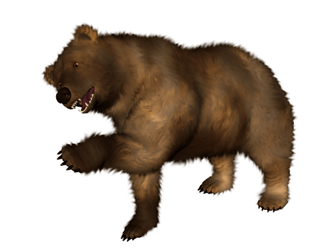 Kodiak Brown Bear PNG HD Quality