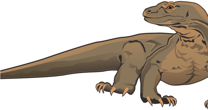 Komodo Dragon PNG Clipart achtergrond