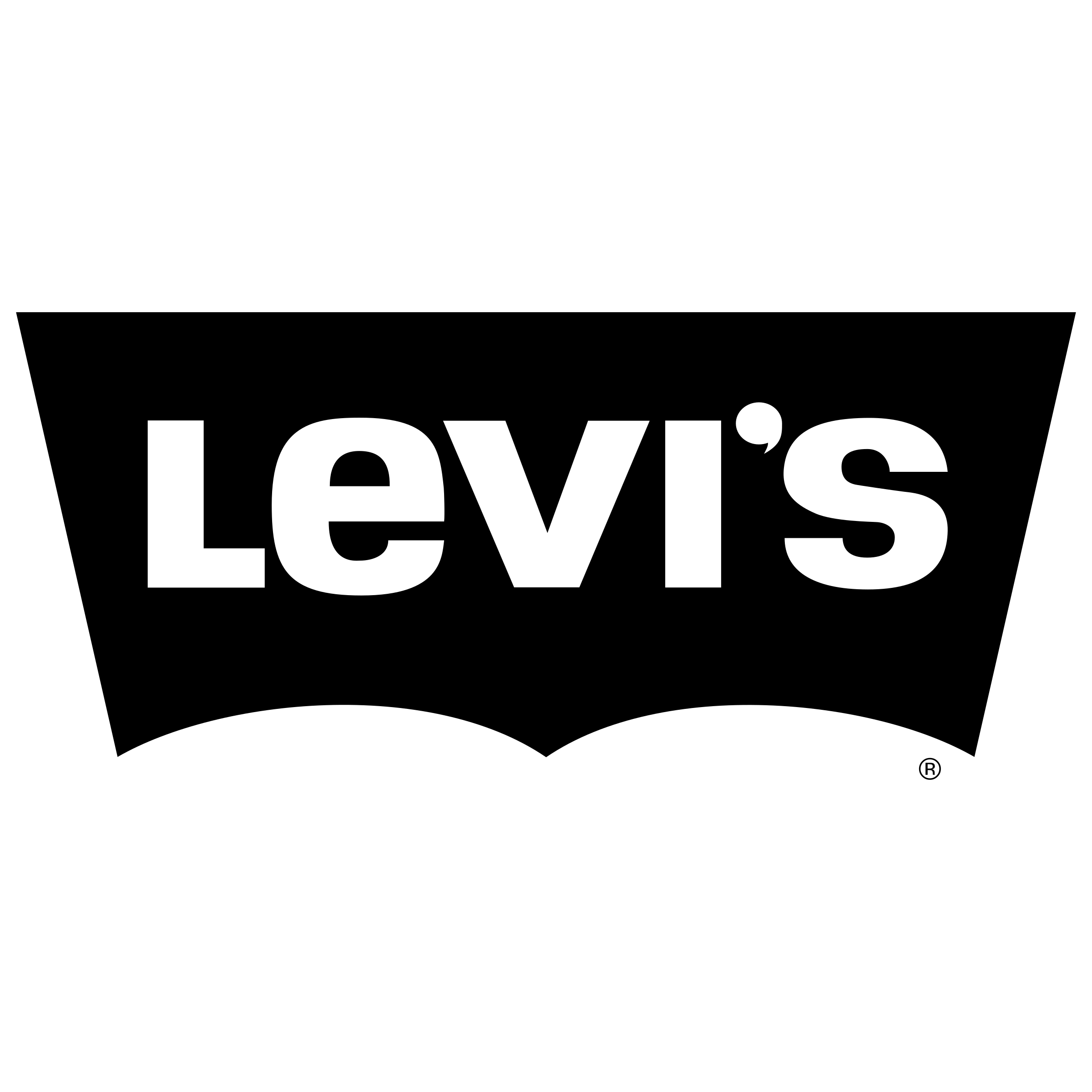 Levis Transparent File