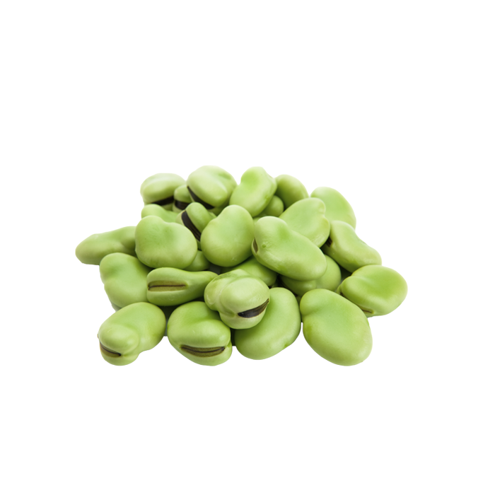 Lima Beans Download Free PNG