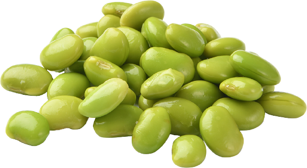 Lima Beans Free PNG