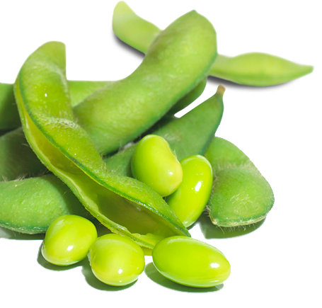 Lima Beans Transparent Image