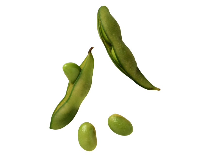 Lima Beans Transparent Images