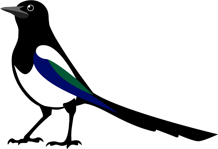 Magpie Transparent Background PNG