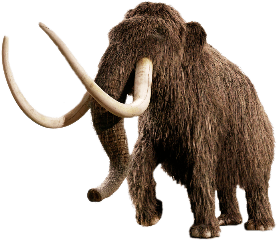 Mammoth PNG HD Quality