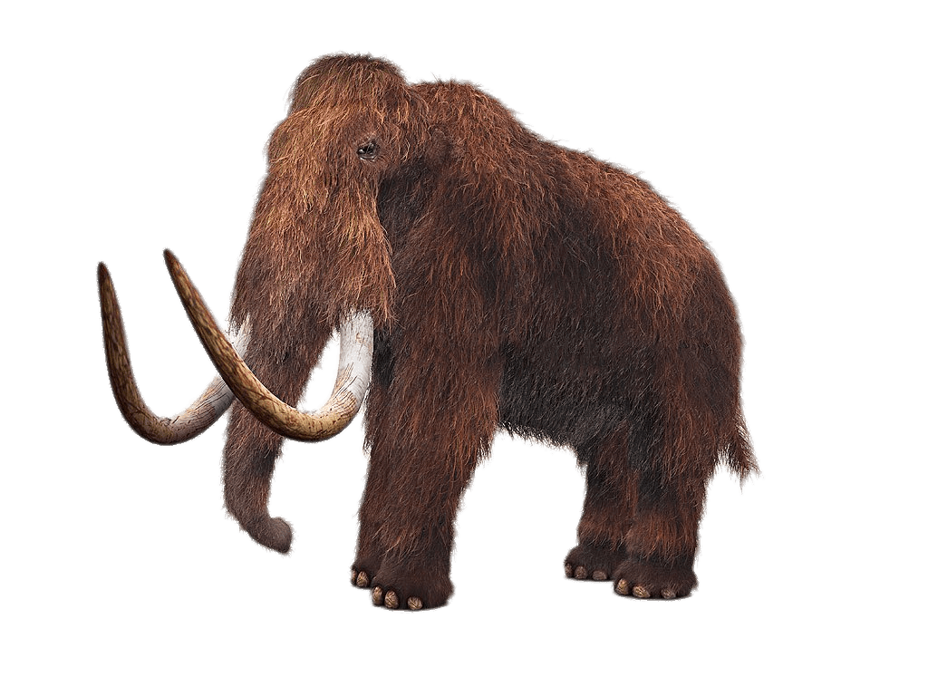 Mammoth PNG Photos
